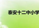 泰安十二中小学怎么样（泰安十二中）