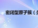 密闭型原子簇（关于密闭型原子簇介绍）