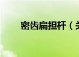 密齿扁担杆（关于密齿扁担杆介绍）