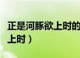 正是河豚欲上时的欲是什么意思（正是河豚欲上时）
