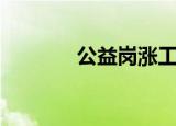 公益岗涨工资吗（公益魔兽）