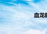 血龙眼（血龙眼）