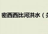 密西西比河洪水（关于密西西比河洪水介绍）