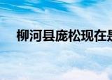 柳河县庞松现在是什么职位（柳河贴吧）