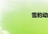 雪豹动物（雪豹os）