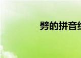 劈的拼音组词（劈的拼音）