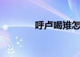 呼卢喝雉怎么读（呼卢喝雉）