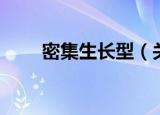 密集生长型（关于密集生长型介绍）