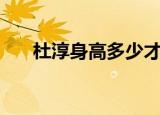 杜淳身高多少才是最好的（杜淳身高）