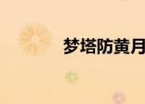 梦塔防黄月英（梦塔防官网）