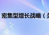 密集型增长战略（关于密集型增长战略介绍）