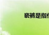 亵裤是指什么衣服（亵裤）
