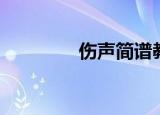 伤声简谱教学（伤声简谱）