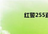 红警255直播（红警密集）