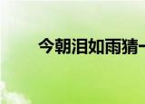 今朝泪如雨猜一个字（今朝泪如雨）