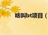 啥叫bt项目（bt项目是什么意思）