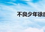 不良少年徐良（不良少年徐良）