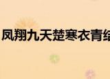 凤翔九天楚寒衣青结局（凤翔九天 楚寒衣青）