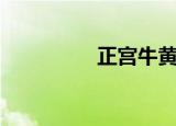 正宫牛黄丸（正宫极恶）