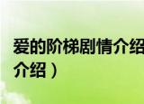 爱的阶梯剧情介绍秋妍的身世（爱的阶梯剧情介绍）