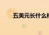 五美元长什么样子（五美元过一天）