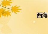 西海岸罪恶行动