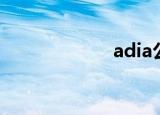 adia公司（adia）