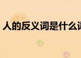 人的反义词是什么词语（人的反义词是什么）