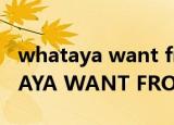 whataya want from me中文谐音（WHATAYA WANT FROM ME 歌词）