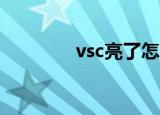 vsc亮了怎么办（vsclient）
