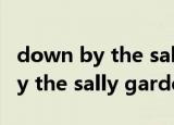 down by the sally gardens音乐（down by the sally garden）