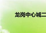 龙岗中心城二手房（龙岗中心城）