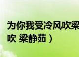为你我受冷风吹梁静茹许茹芸（为你我受冷风吹 梁静茹）