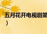 五月花开电视剧第三十八集（五月花开电视剧）