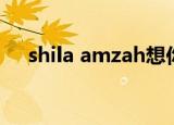 shila amzah想你的夜（shila amzah）