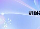 群组名称（群组）