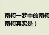 南柯一梦中的南柯指的是什么（南柯一梦中的南柯其实是）
