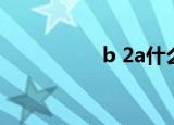 b 2a什么意思（b 2a）