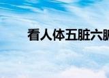 看人体五脏六腑的位置（kanrenti）