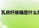 乳房纤维瘤是什么东西严重吗（乳房纤维瘤）