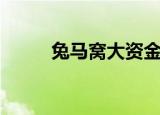 兔马窝大资金在哪里查（兔马窝）