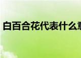 白百合花代表什么意思（白百合花代表什么）