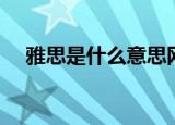 雅思是什么意思网络用语（雅思是什么）