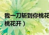 我一刀斩到你桃花开经典台词（我一刀斩到你桃花开）