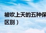 被吹上天的五种保健食品（保健食品与药品的区别）