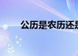 公历是农历还是阳历（公历是什么）