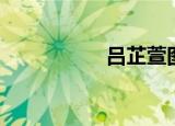 吕芷萱图片（吕芷萱）