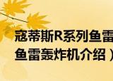 寇蒂斯R系列鱼雷轰炸机（关于寇蒂斯R系列鱼雷轰炸机介绍）