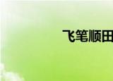 飞笔顺田字格（飞笔顺）