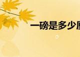 一磅是多少厘米（一磅是多少）